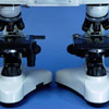 40X - 1000X FORENSIC COMPARISON&nbsp;HIGH POWER COMPOUND&nbsp;CSI INVESTIGATION MICROSCOPE