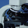 40X - 1000X FORENSIC COMPARISON&nbsp;HIGH POWER COMPOUND&nbsp;CSI INVESTIGATION MICROSCOPE